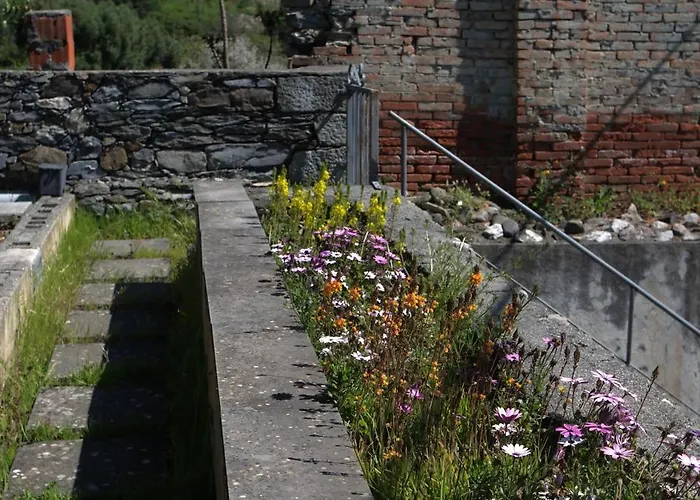 My Place Your Place *