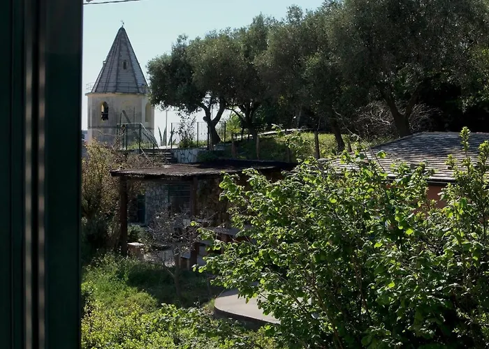 My Place Your Place *