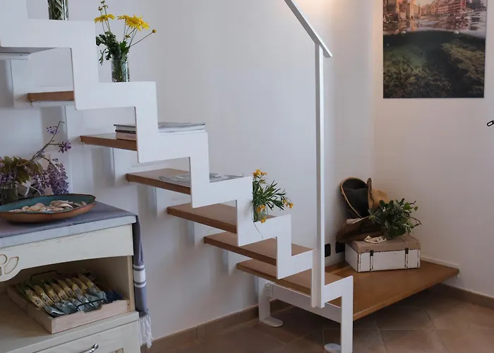 My Place Your Place Lägenhet