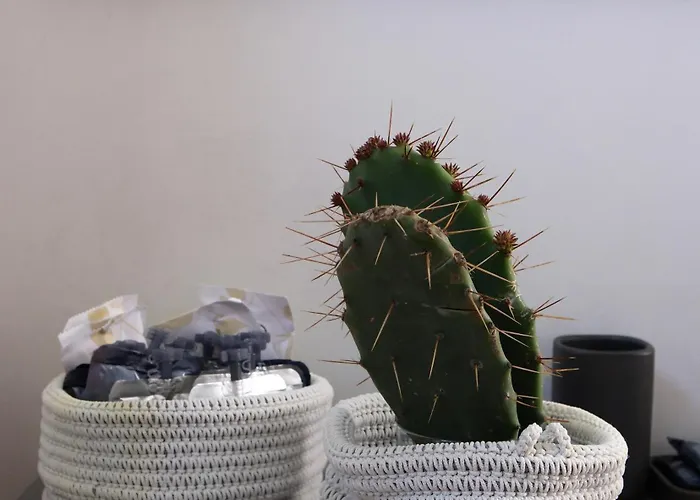 My Place Your Place Lägenhet Corniglia